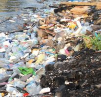 Photograph of floating plastic debris on the sea surface near Trieste